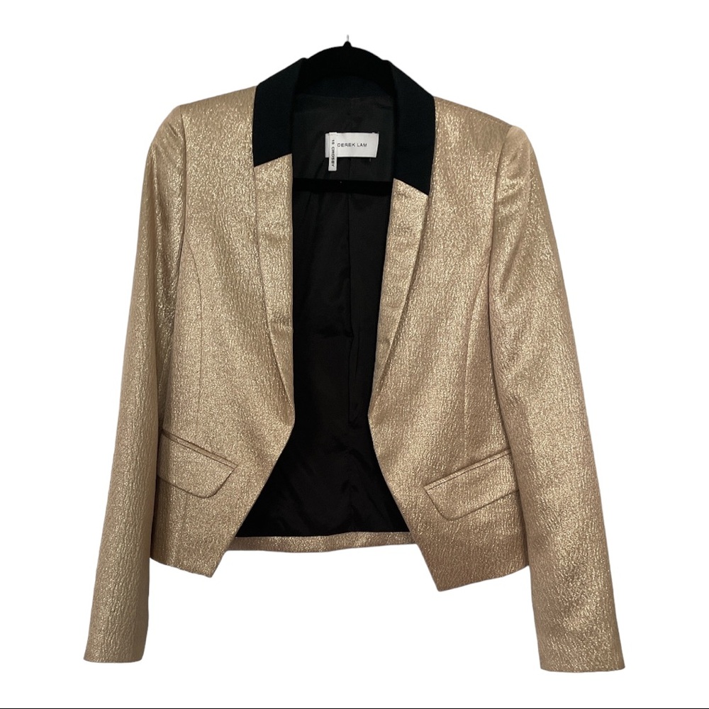 Derek Lam metallic blazer size 4